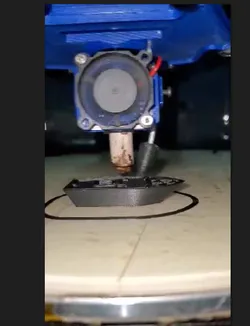 berd-blower nozzle.