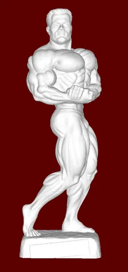 Bodybuilder 3D Print Model in Man 459739