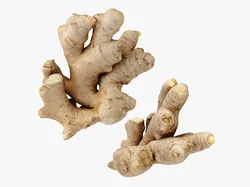 Ginger