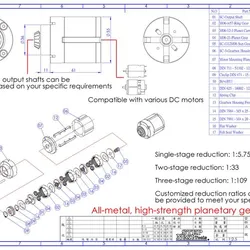 Planetary Gear Set