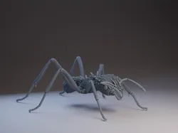 Ant