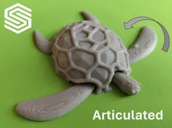 Articulated Turtle Toy (Multi or single color)