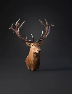 deer head bust with large antlers brown fur ivory tips on antlers