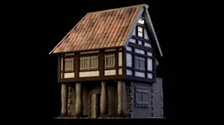 Medieval and Tudor House