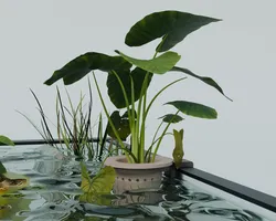 Suspended aquarium planter