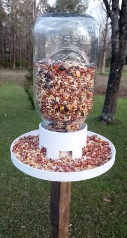 Glass Mason Jar Bird Feeder. No supports needed