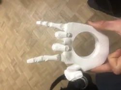Hand with Articulated Fingers