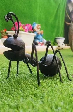 Hormiga
