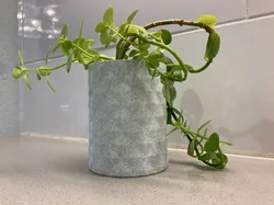 Knurled Vase
