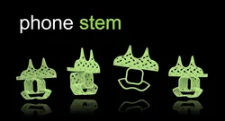 The Stem