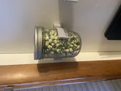 Mason Jar Wall Mount - 80mm