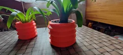 Wobbly planter