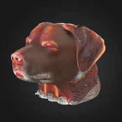 Dog Meme
