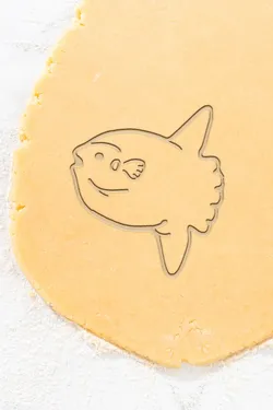 Home Decorations & Ornaments STL Descărcare - Fish Cookie Cutter, Biscuit Cutter - OALPO