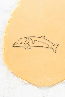 Home Decorations & Ornaments STL Descărcare - Fish Cookie Cutter, Biscuit Cutter - OALPO