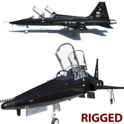 Northrop T-38 Talon Black Aircraft PBR