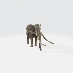 Realistic 3D Elephant Model - African Wildlife Animal