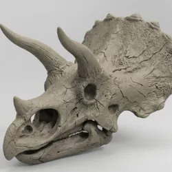 T-rex triceratops dinosaur skull ready stl file for 3d printing sculpture skeleton