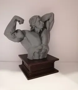 Arnold Schwarzenegger - Busta
