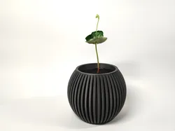 Planter with dripping compartment