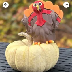rude tom the turkey