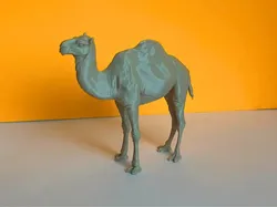Camel