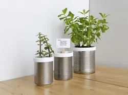 Campbell Planter - Fully 3D Printed Self-Watering Planter