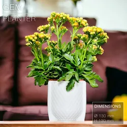 GEM | Cache-pot Planter