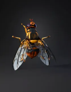 yellow and black wasp like insect with transparent wings viewed from a