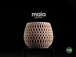 Creality Cloud | maia • planter | ملفات الطابعة ثلاثية الأبعاد