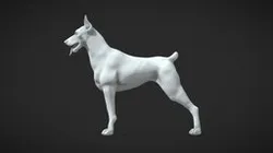 Dobermann dog base mesh