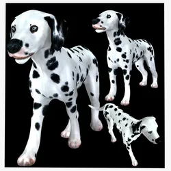 DOG Dalmatian CANINE Dog