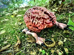 Intellect Devourer
