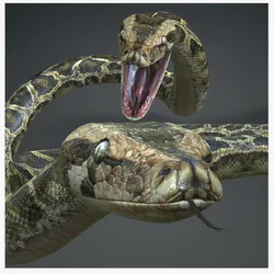PYTHON SNAKE ANIMATED - SNAKE PYTHON REPTILE