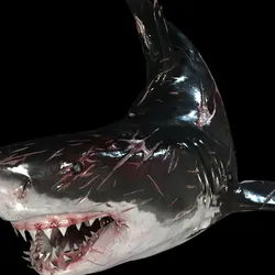 Shark Animated SHARK BIG Fish