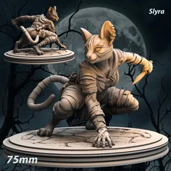 Slyra - Tabaxi Rogue Assassin - Rogue Tabaxi Assassin - Assassin Tabaxi Rogue - Tabaxi