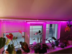 Phytolamp from LED strip and aluminum corner 20x20