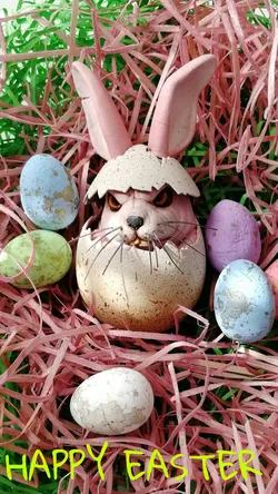 Ugly Angry Rabbit
