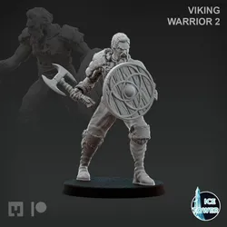 Viking - Warrior 2