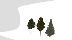 1f9jtr180dxk-Tree1ByTyroSmith