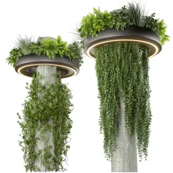 Collection plant vol 532 - bush - ampelous - column - fitowall - ivy