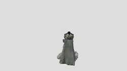 Dirty Wrinkled Wedding Dress