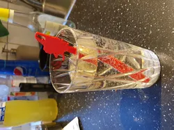 Drink stirrer Chainsaw