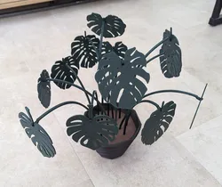 Monstera Coaster Set - Taller Stems