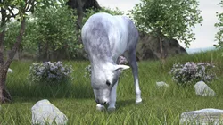 White Shetland Pony in Grazing Pose 3D model