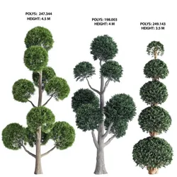 Garden Trees