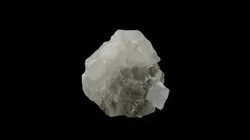 Halita