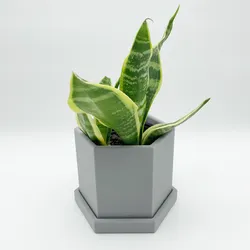 Hexagonal Plant Pot