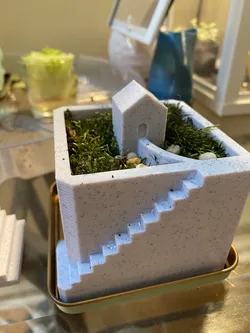Moss Garden with a Little House