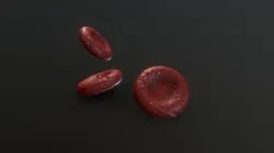 Red Blood Cells (Erythrocytes)